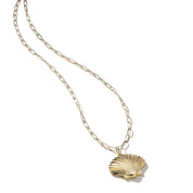 14kt Large Venus Necklace