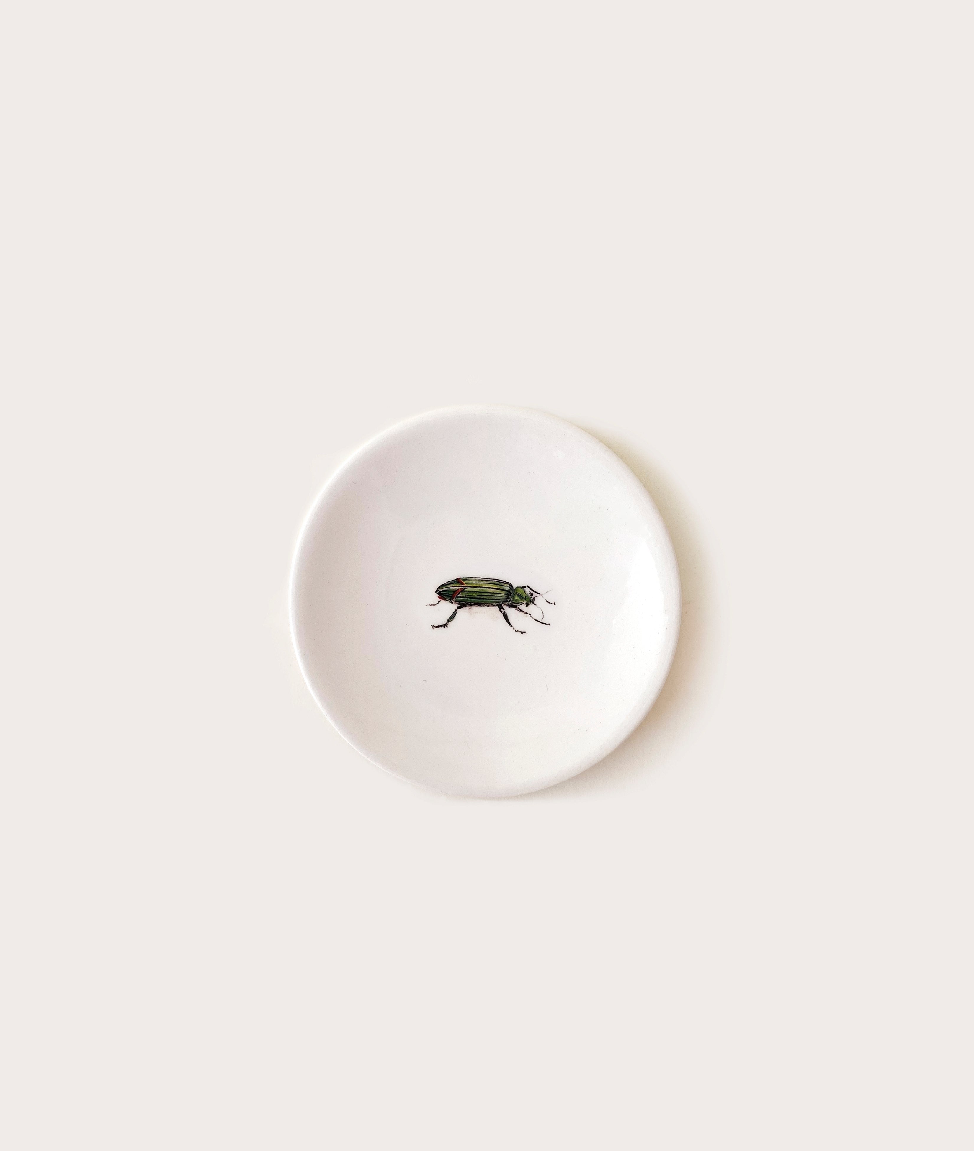 Tiny Plate, Bug Trompe L'oeil