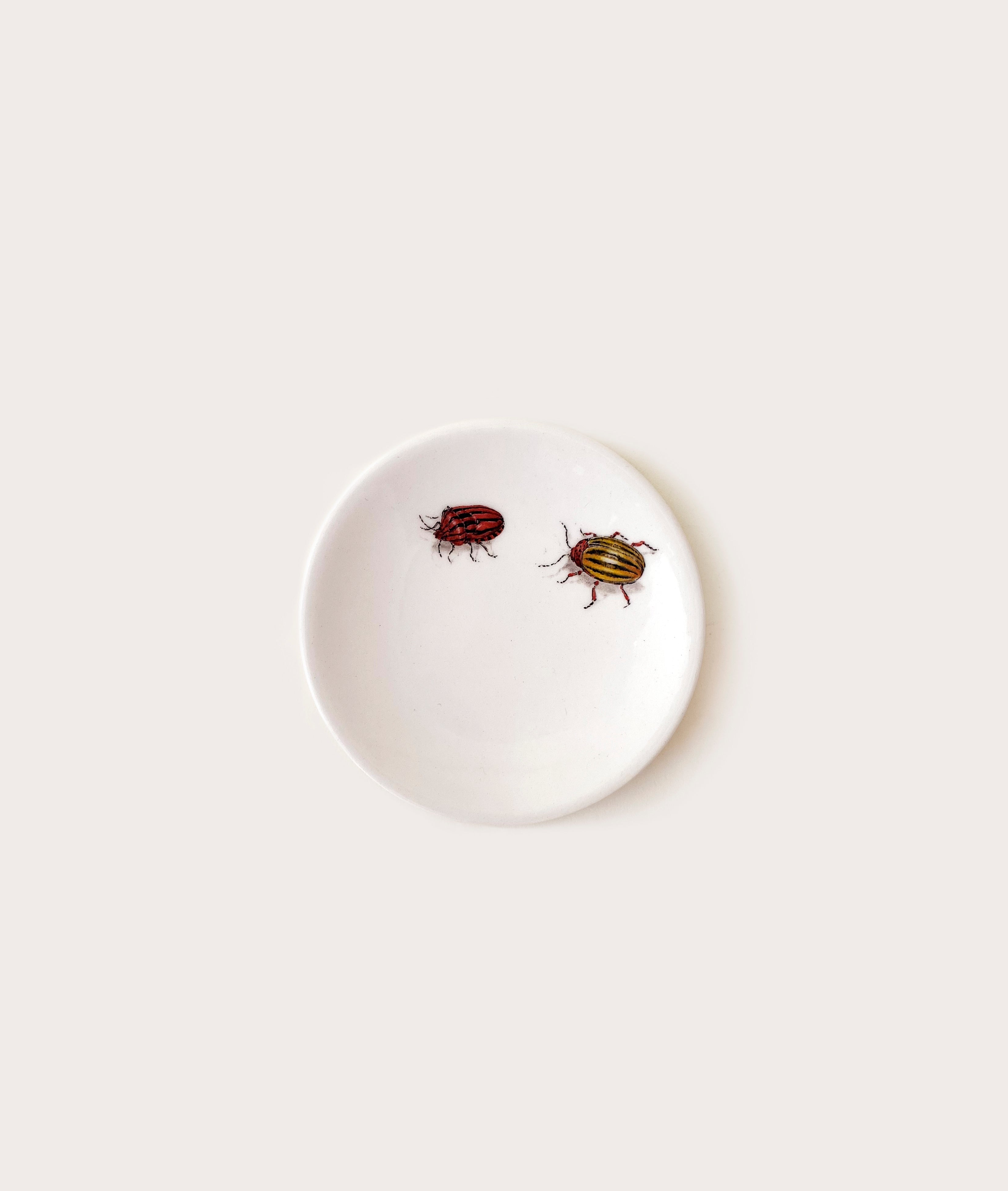 Tiny Plate, Bug Trompe L'oeil