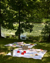 Picnic Blanket, Opaline