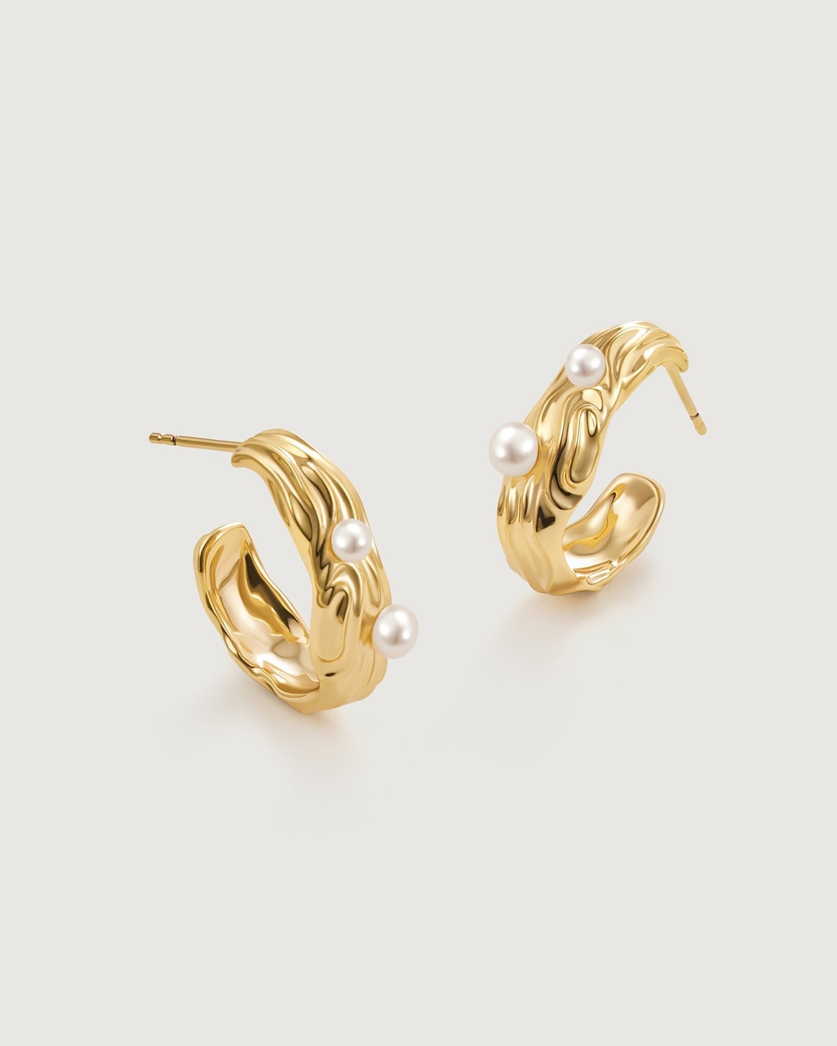 annual-ring-earring-725905_13ce3fd0-c6cc-4d00-ae0f-15d68659a116.jpg