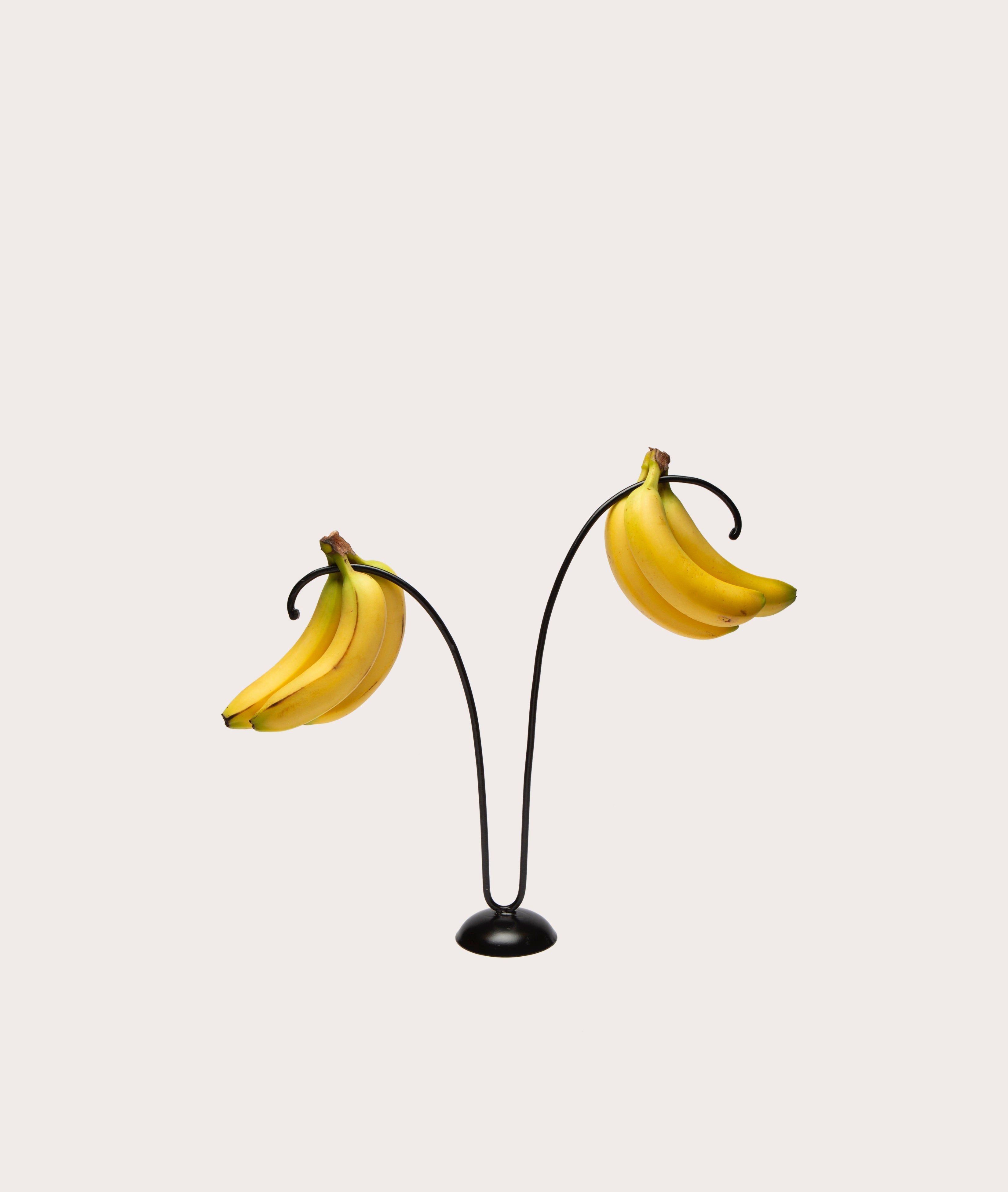 Banana Tree