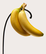 Banana Tree