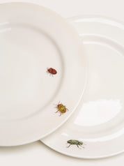 Dinner Plate, Bug Trompe L'oeil