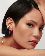 Chubby Mini Hoop Earrings | 18k Gold Vermeil