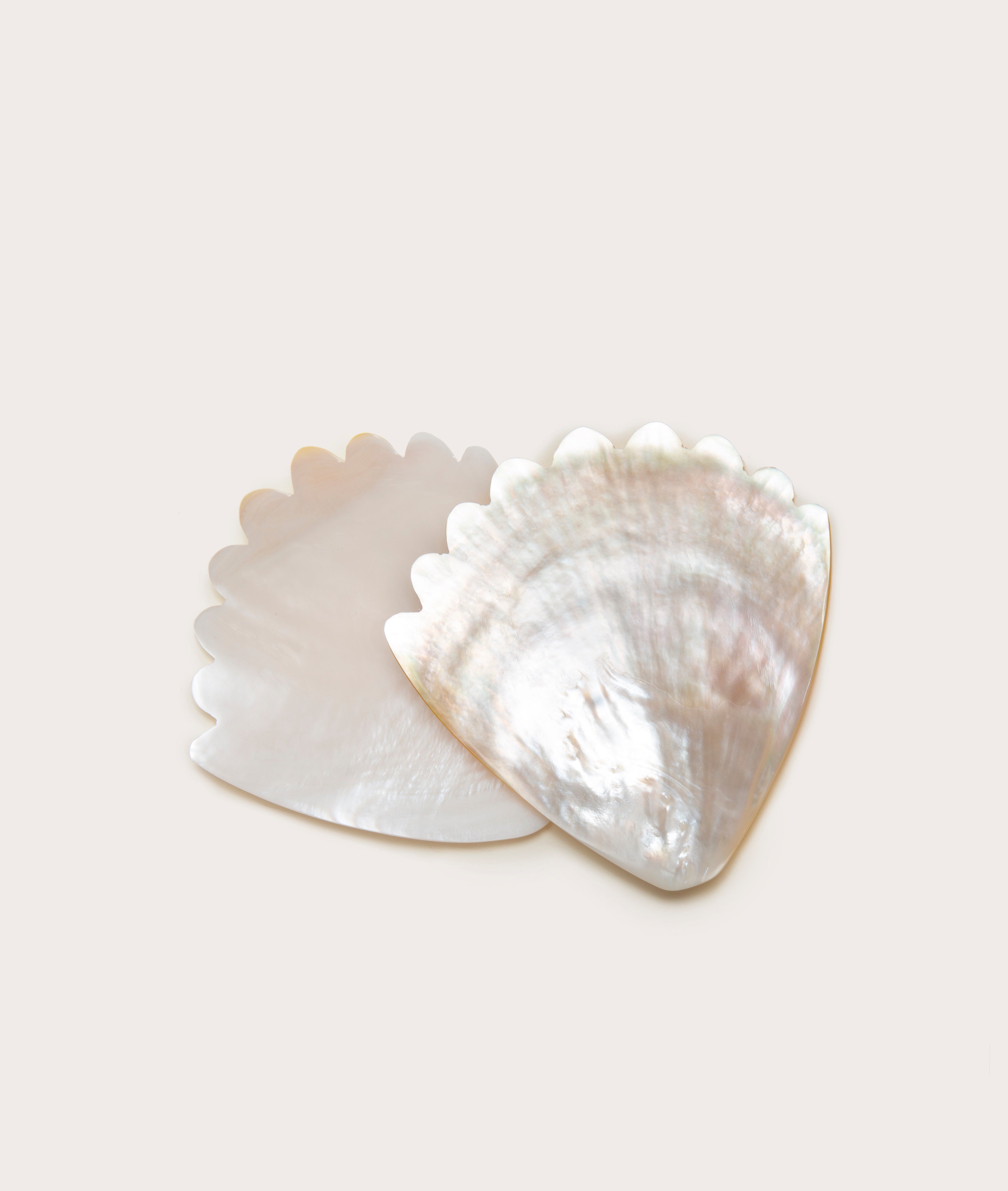 coquilleplate_01_d866b73b-50a7-4fd0-bfb4-1c302e7f66e6.jpg