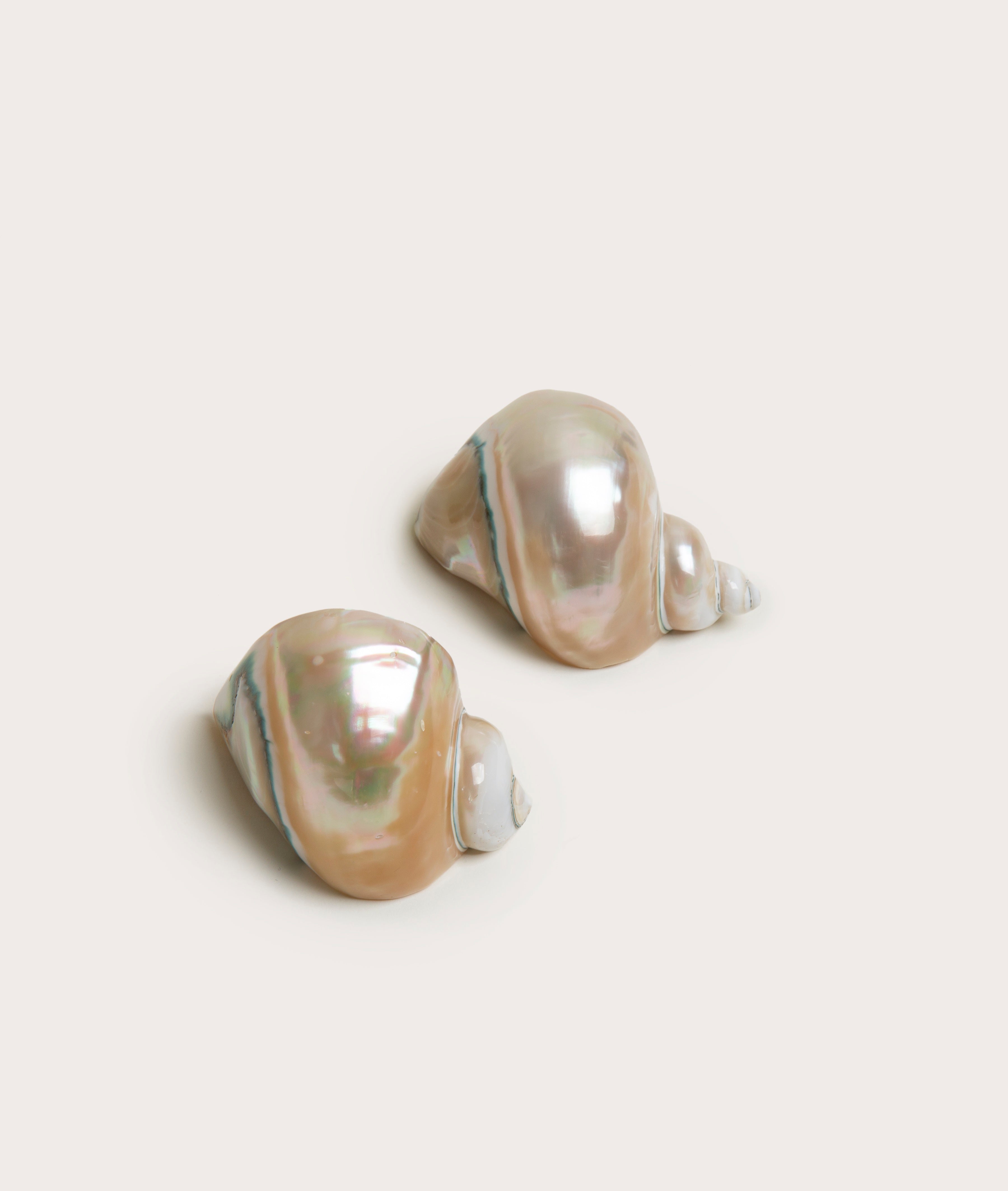 Napkin Rings, Shell