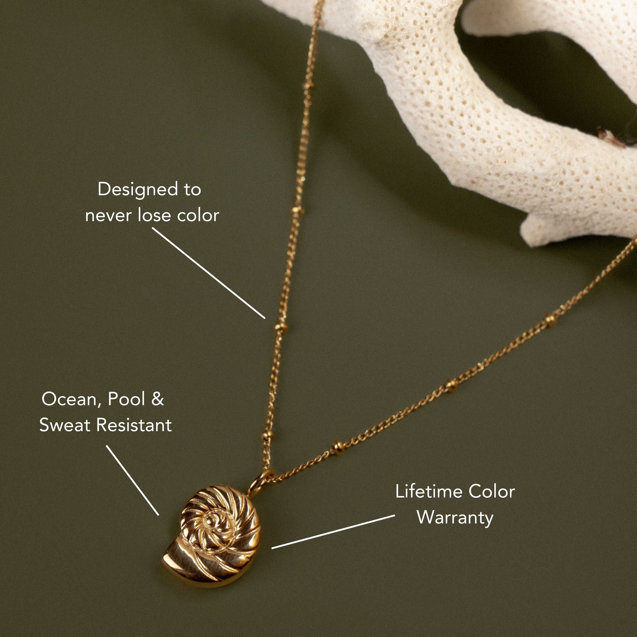 Nautilus Necklace