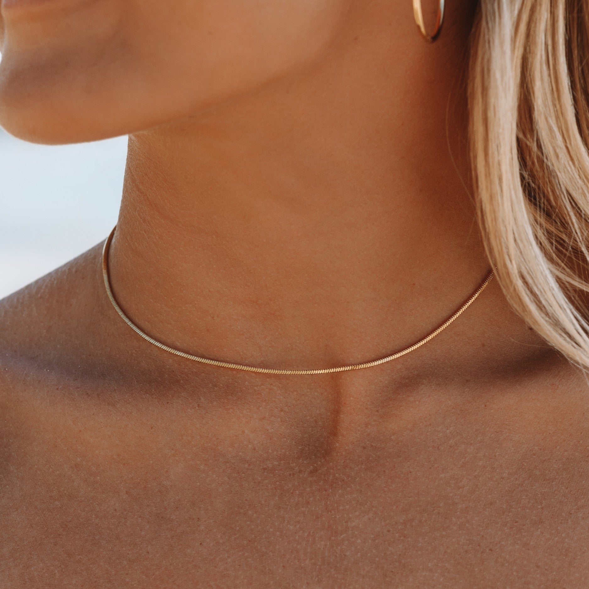 simple-choker-chain_7b196efc-3068-4a8c-9ddf-1733c219ad5f.jpg