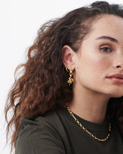 Snake Single Ovate Earring