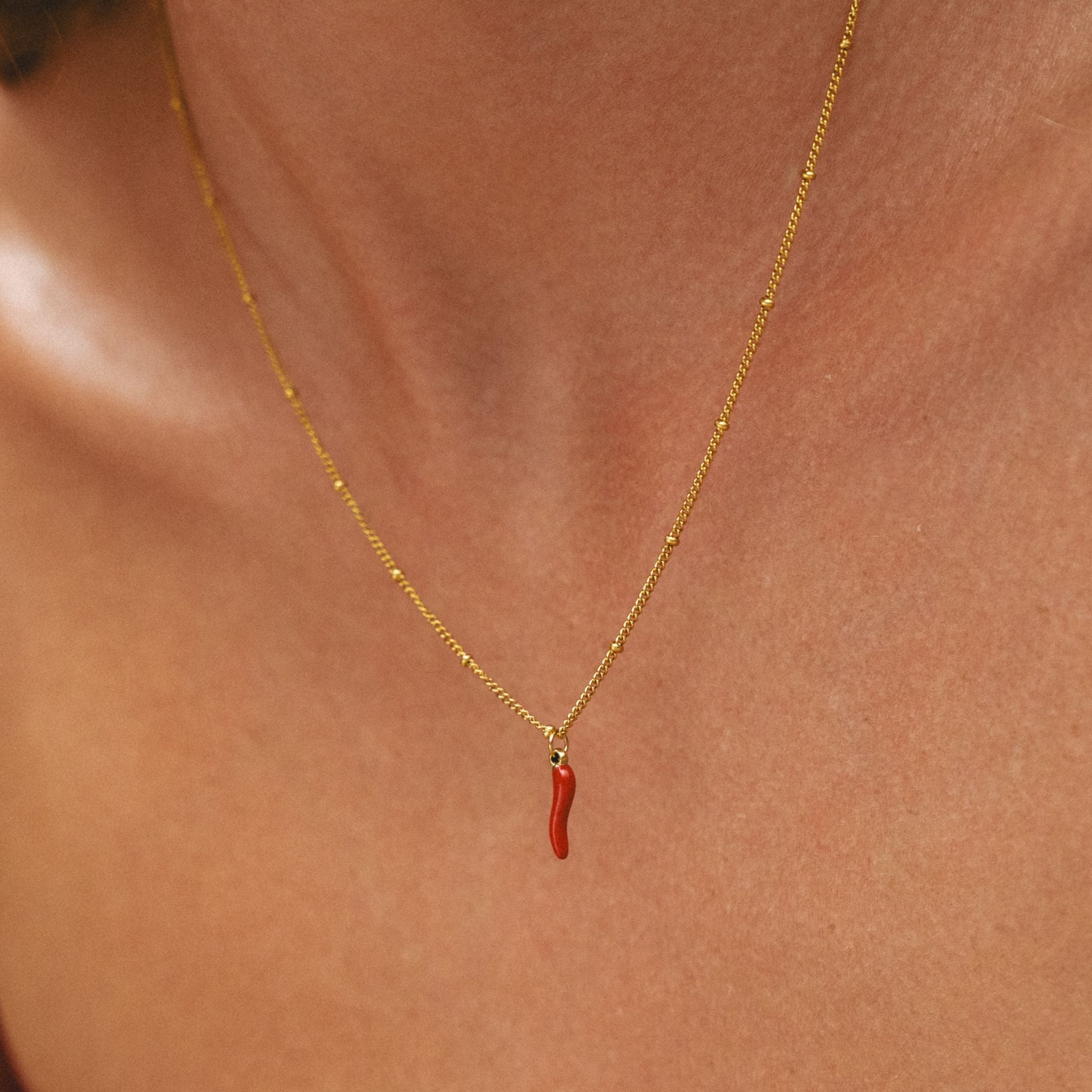 spicy-necklace_1_33c59d36-0727-4115-a113-5b51578f7759.jpg