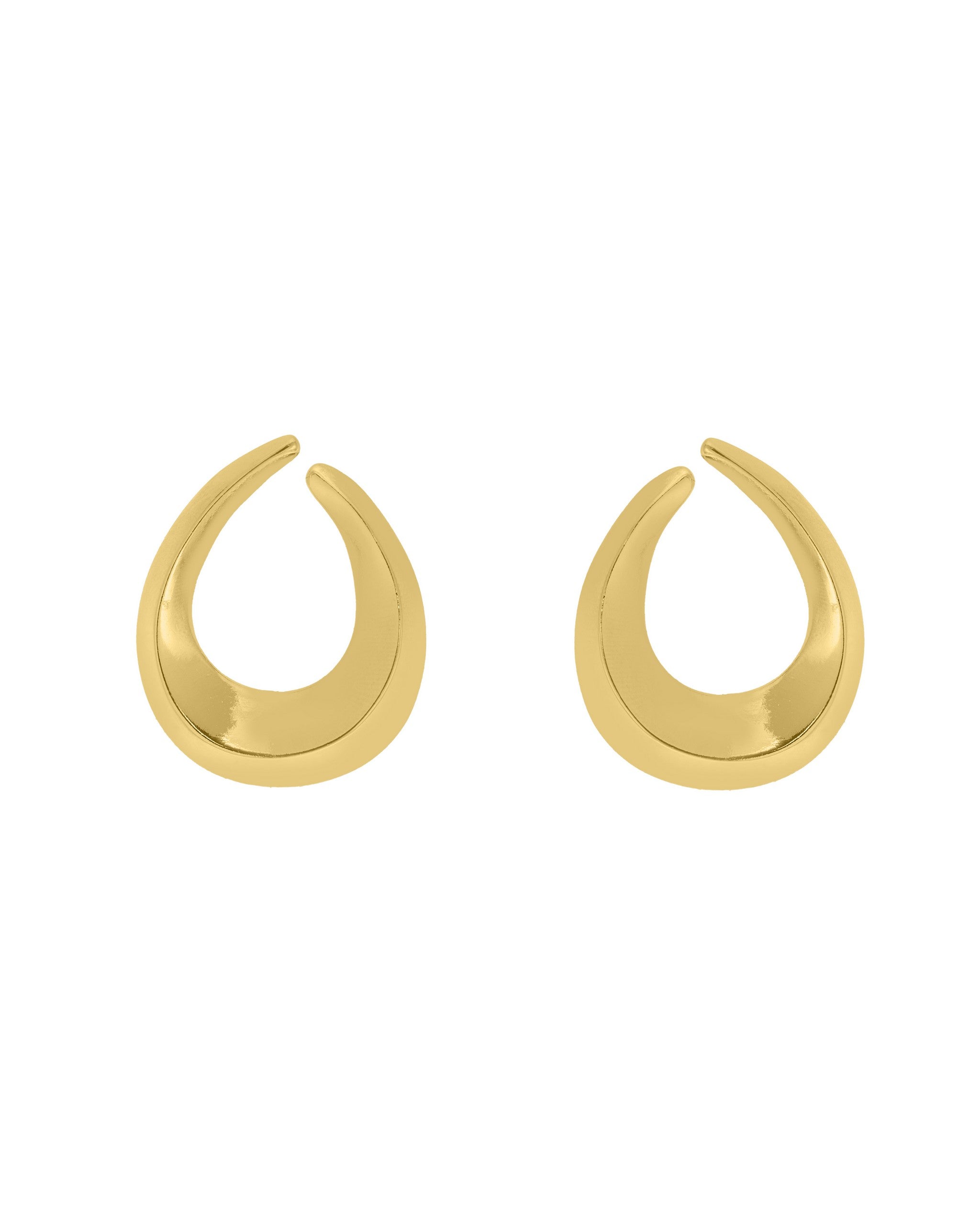 Horn Earrings